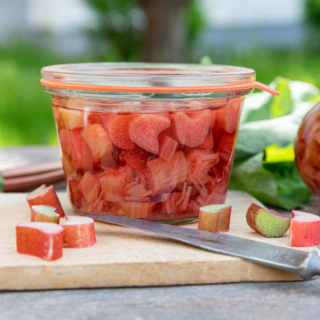 741 Mold Jar - 370ml (12.5oz)